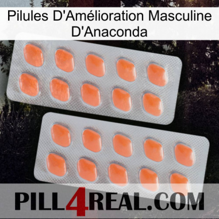 Anaconda Male Enhancement Pills 27